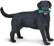 Safari® Čierny labrador