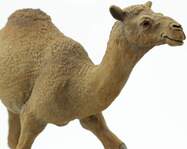 7f285b93d907aadcb00acd1691538afec3e7f77d_1000x1000_crop_center.jpg
