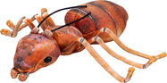 Mravec hnedý plyšový 20cm