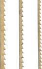 PSA5041-36_A.jpg