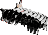 b455bf4d106dc983a24d7f2651e94ca3.png