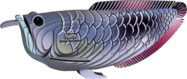 EUGY Arowana srebrna 3D kartonska sestavljanka