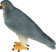 MJ381056_1.jpg