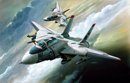 Model Kit letala 12608 - F-14 (1: 144)