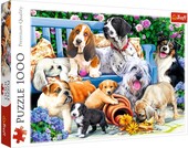 Lösen Sie das Puzzle Hunde im Garten 1000