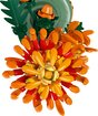 LEGO_10368_WEB_SEC02_NOBG.jpg