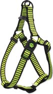 Postroj Active Dog Premium S limetka 1,5x45-63cm