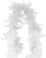 250444-2.jpg