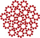 00010002_2_l.jpg