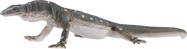 MJ381061_7.jpg