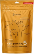 Pamlsok CBD Recovery S 100g