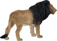 MJ381070_Lion_2.jpg