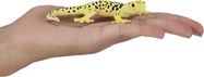 MJ381077_Leopard_Gecko_3.jpg