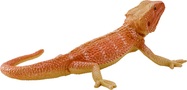 Mojo Agama