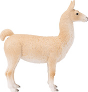 387391_3.animal.jpg