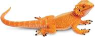 Safari® Agama bradatá