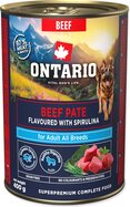 Conserve Ontario Adult pâté de bœuf à la spiruline 400g