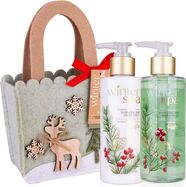 ACCENTRA Set za kupanje Winter Spa u filcanom vrećici Zimsko voće 2x 200ml