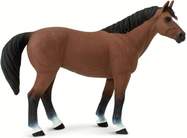 Safari® Quarter horse valach kôň