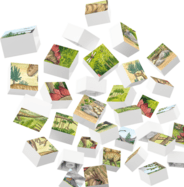 file_en_147903_l.png