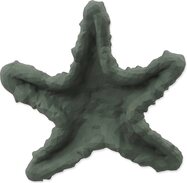 a52b6150ed73deedc3d2454fb0b7c319.jpeg