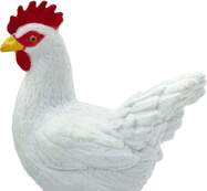 5be92c_1000x1000_crop_center.jpg