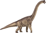 387381_1.animal.jpg