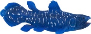 MJ381050_1.jpg