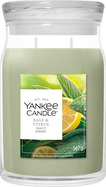 YC Signature Kerze Groß Sage &amp; Citrus