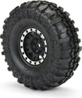 PRO119713-02.jpg