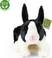 450134-1.jpg