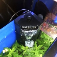 82432-1206316645_2x.jpg