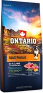 c6abc96a2dfef7bb1090a5d7809c66b6.jpeg