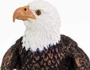 a81b3cbe57c5c219ab644bb7e28806532c42eb68_1000x1000_crop_center.jpg