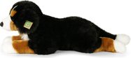 722750-2.jpg