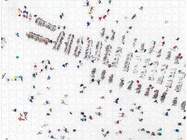9780735357228-4.jpg