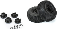 PRO116910-03.jpg