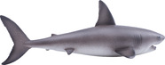 AP381012_4.jpg