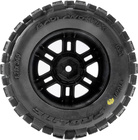 PRO1030110-03.jpg