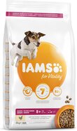 IAMS Dog Senior Small &amp; Medium Chicken 3kg