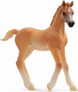 nhydfôjbnsdhgbh§oúsdgnbijadgjb.jpg