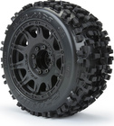 PRO117810-03.jpg