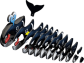 14c10c111e0a6e19a7be93e438806aa0.png