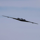 EFLU09050_3.jpg