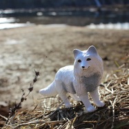 th1600x1600_crop_center.jpg