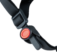 600_buckle_rgb.jpg