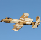 EFLU6550_02.jpg
