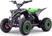 Elektrisches Kinder-Quad Beneo Motors T-REX grün - 1300W