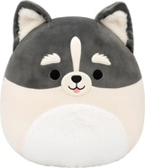 Squishmallows Pomsky - Paolo, 30 cm