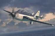 corfix-18-63775_1.jpg